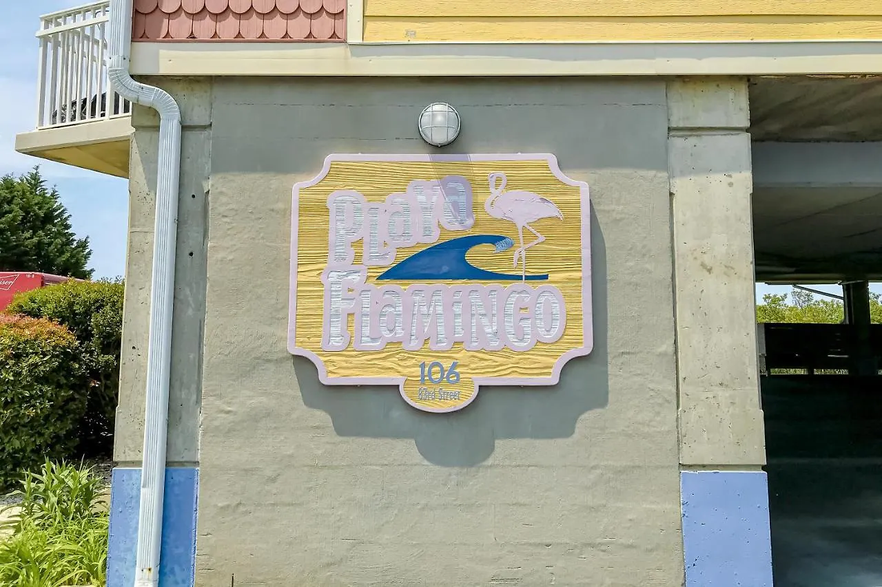 公寓 Playa Flamingo #302 大洋城