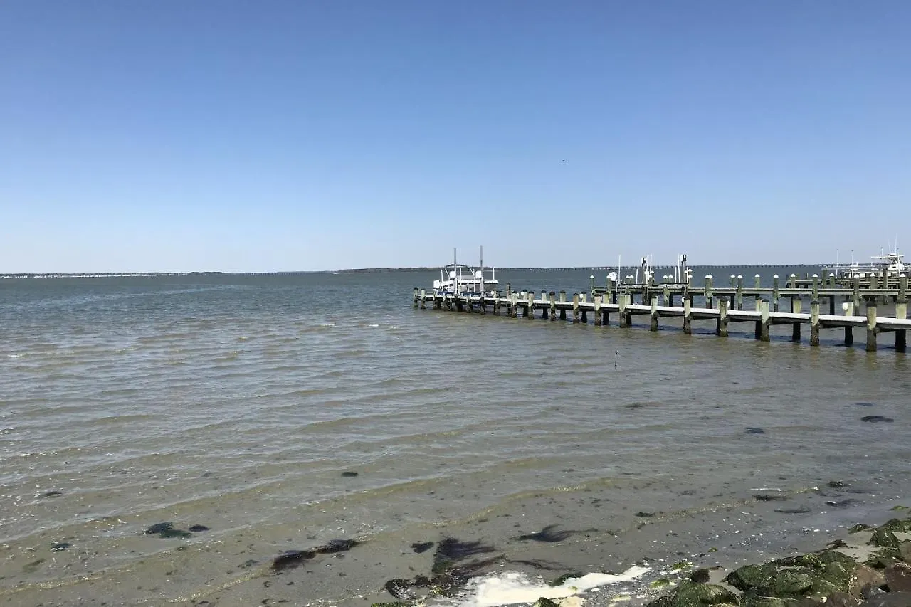 Jamaica Bay *