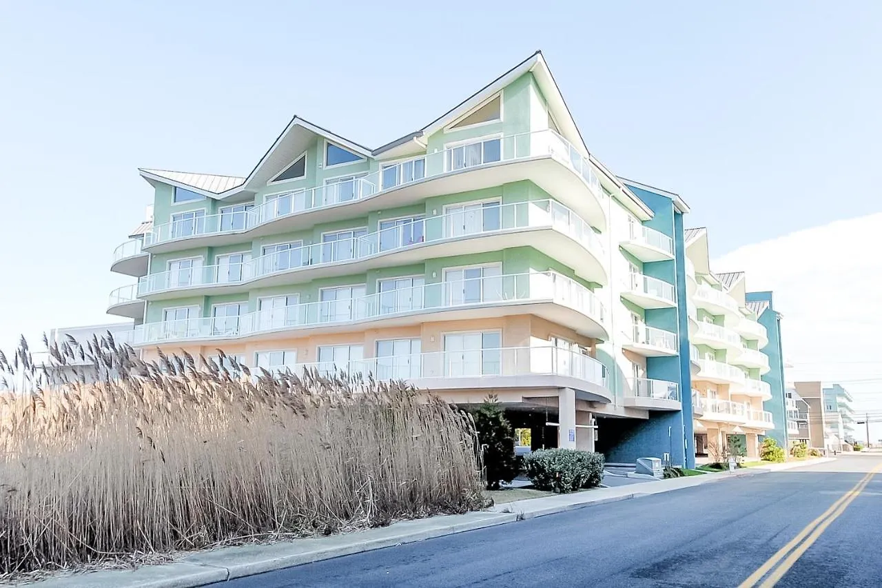 Coral Seas Ocean Stadt