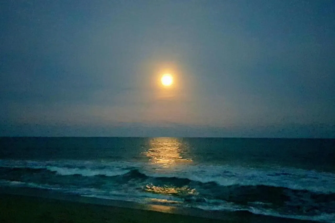 Ocean Point 302 公寓