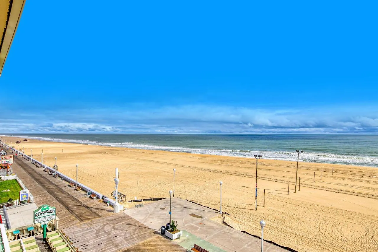 酒店 Oceanfront At Golden Beach