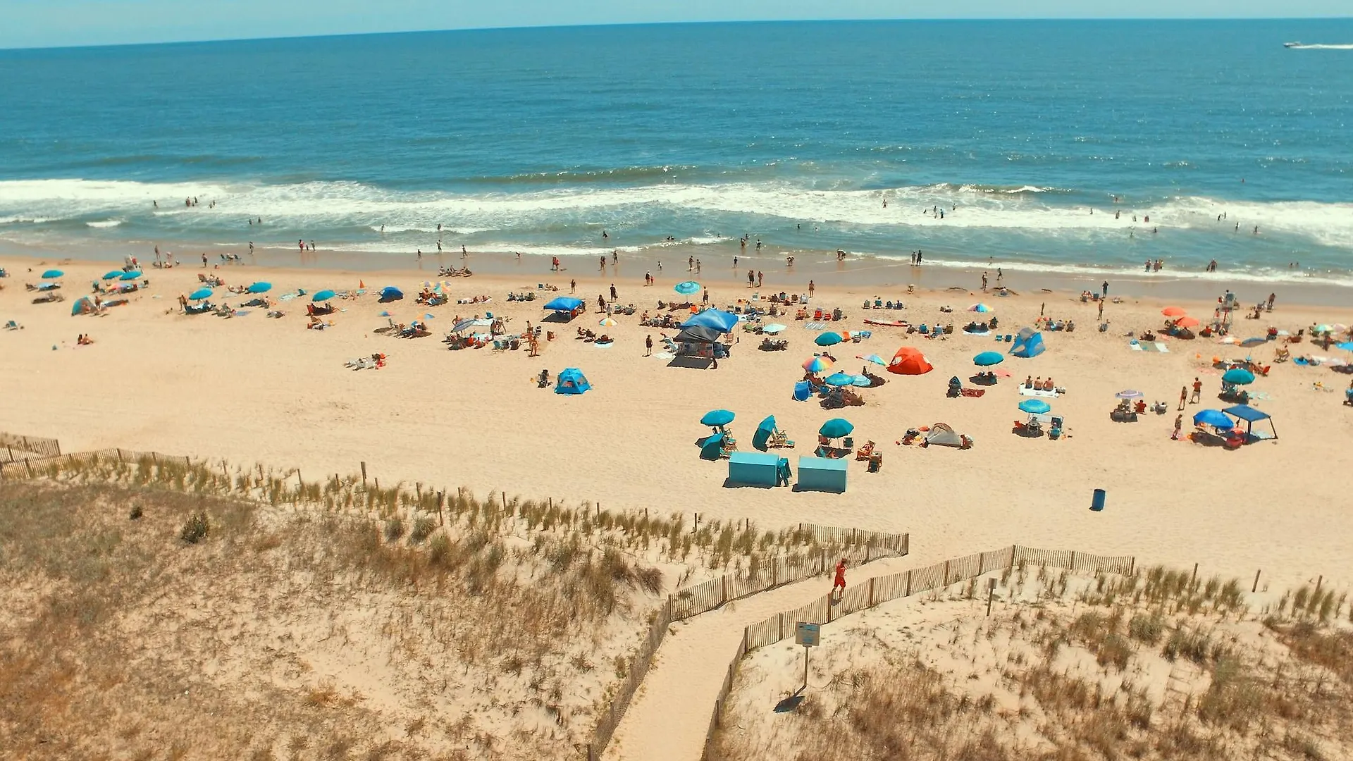 Sealoft Oceanfront