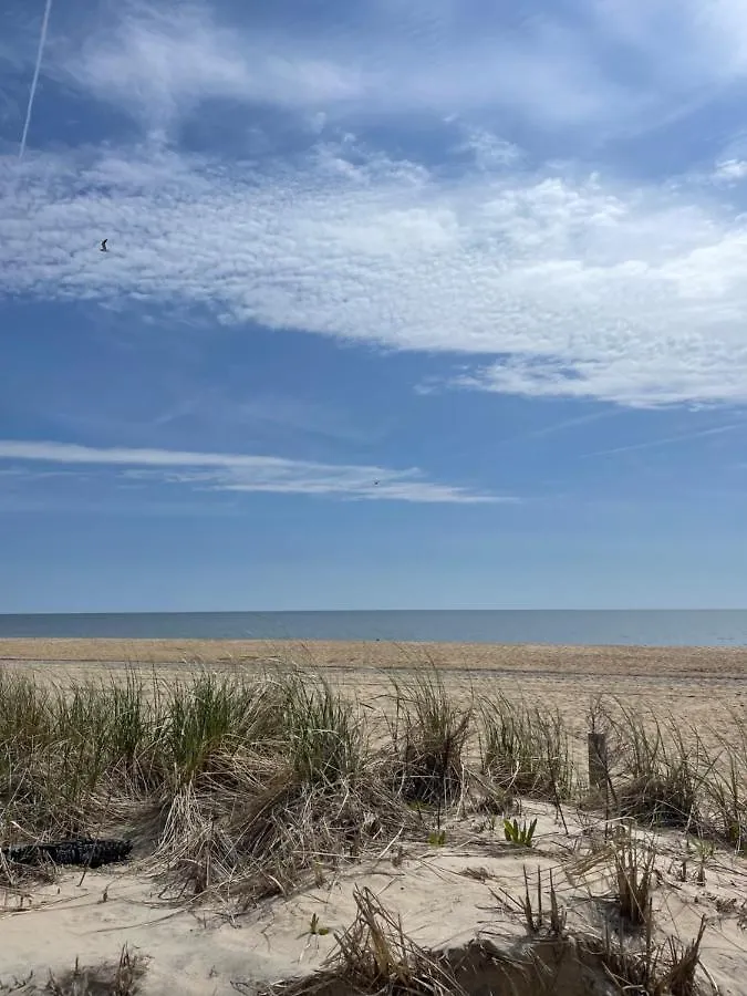 Ocean City, Md Waterfront Ξενοδοχείο με διαμερίσματα Όσεαν Σίτι