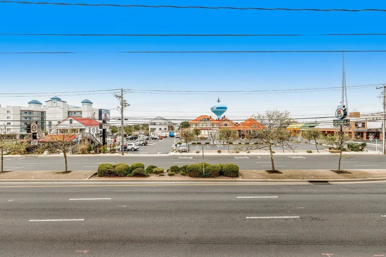 Sea 208 *