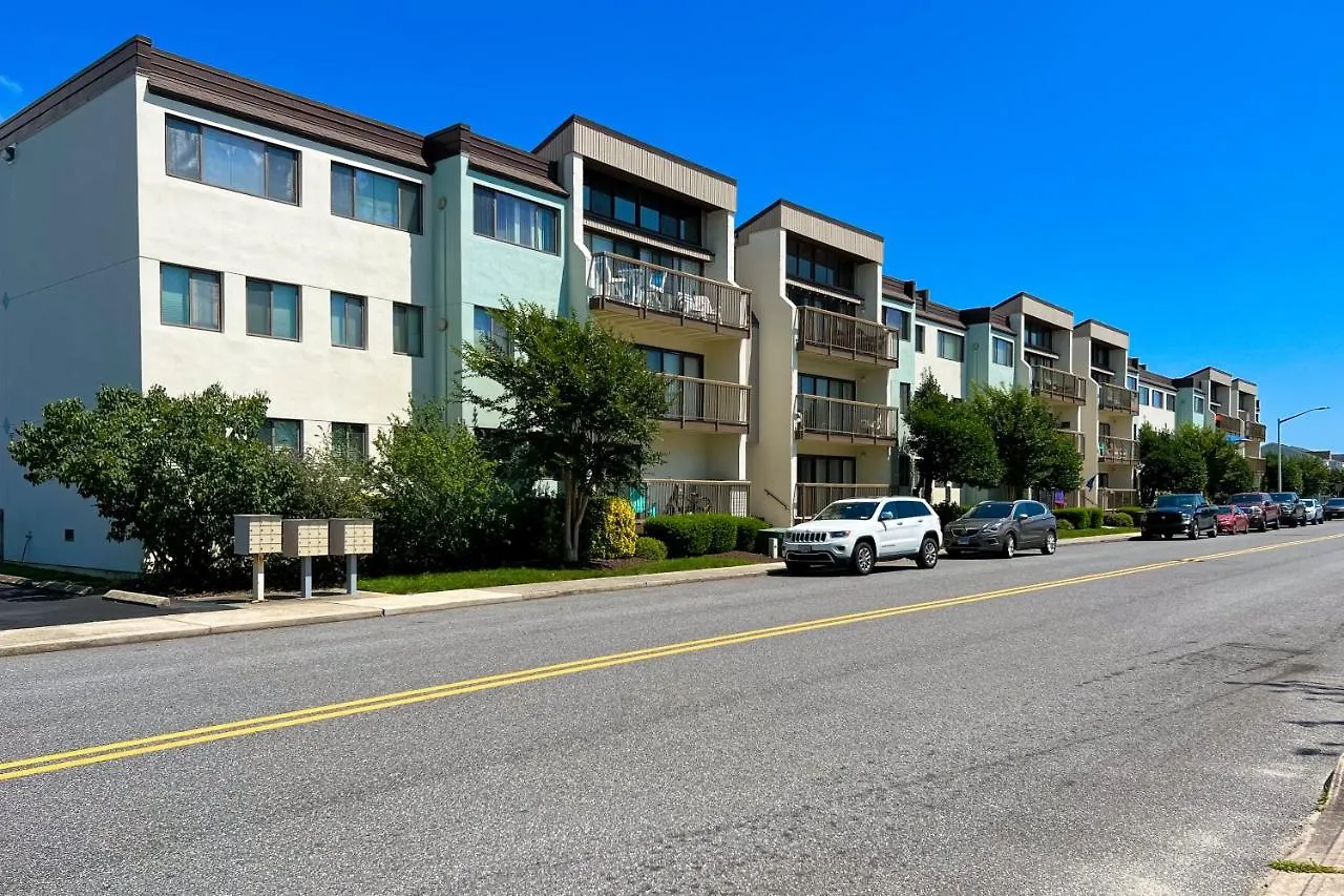 Tiburon 2c * Ocean City