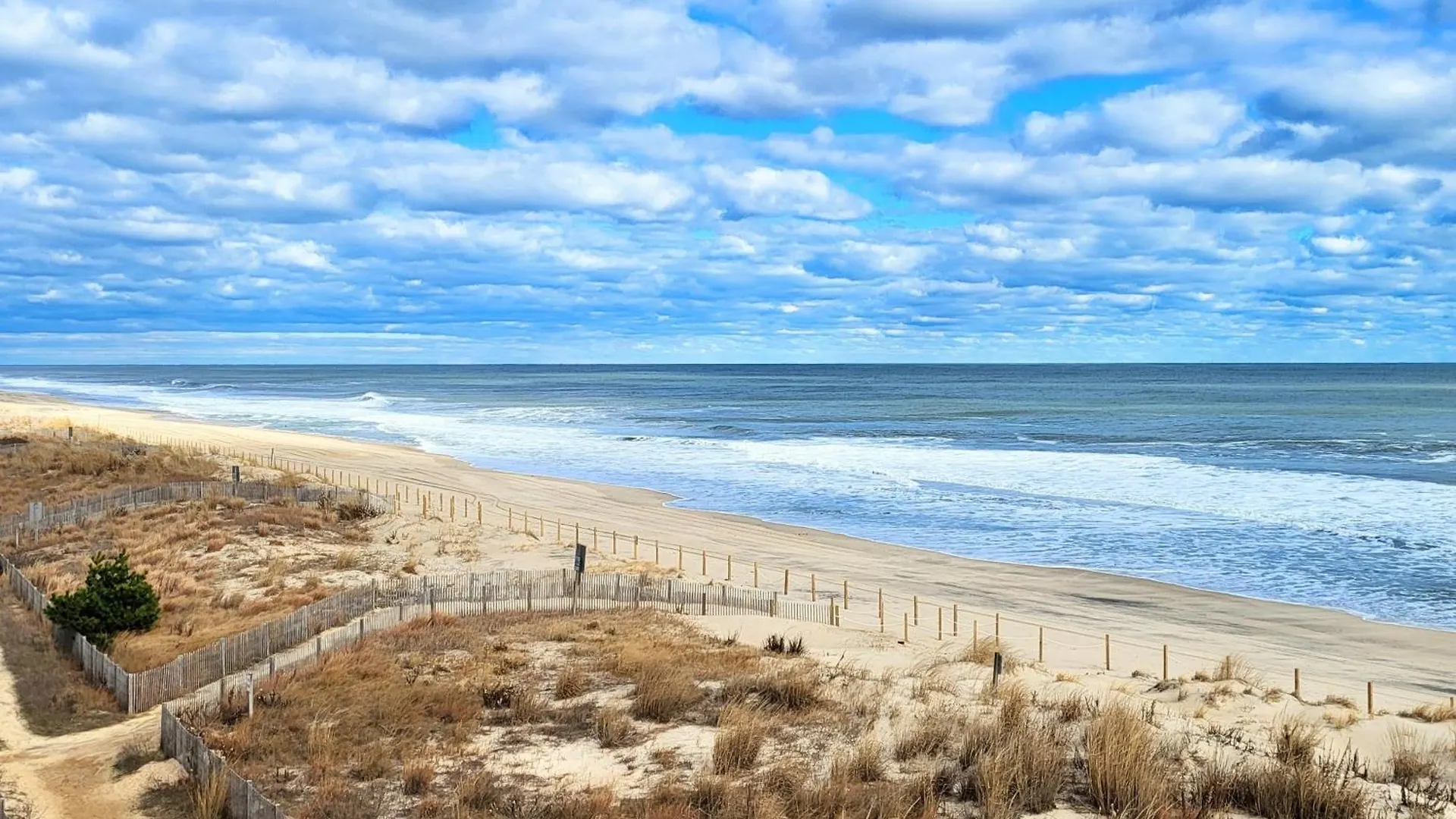 Mayfair 503 * Ocean City