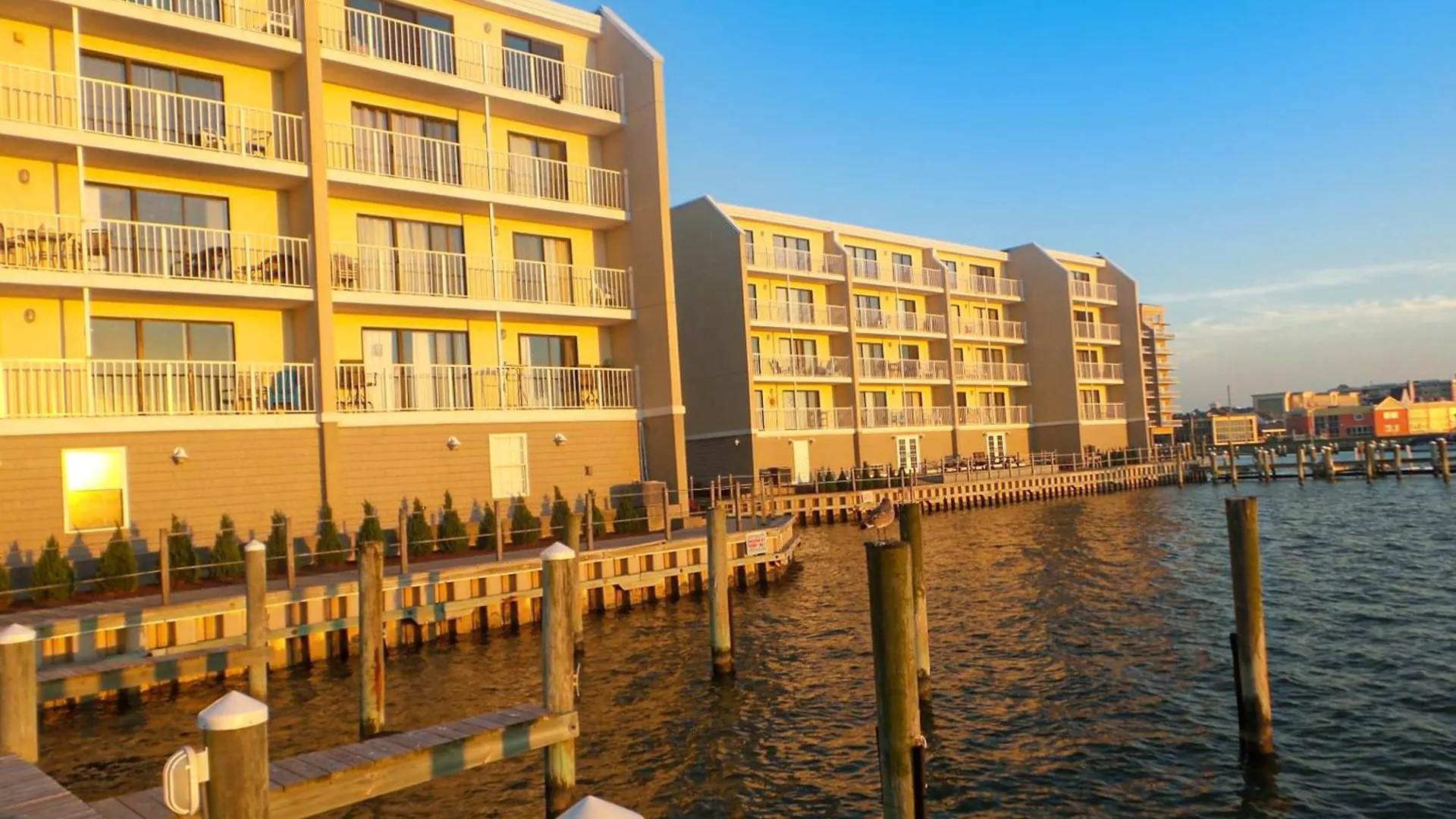Wight Bay * Ocean City