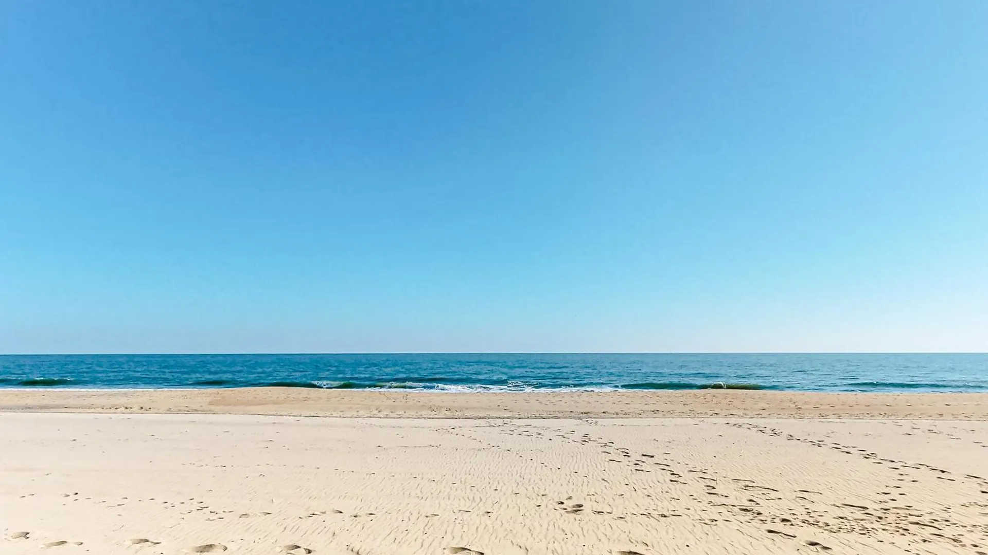 Calypso * Ocean City