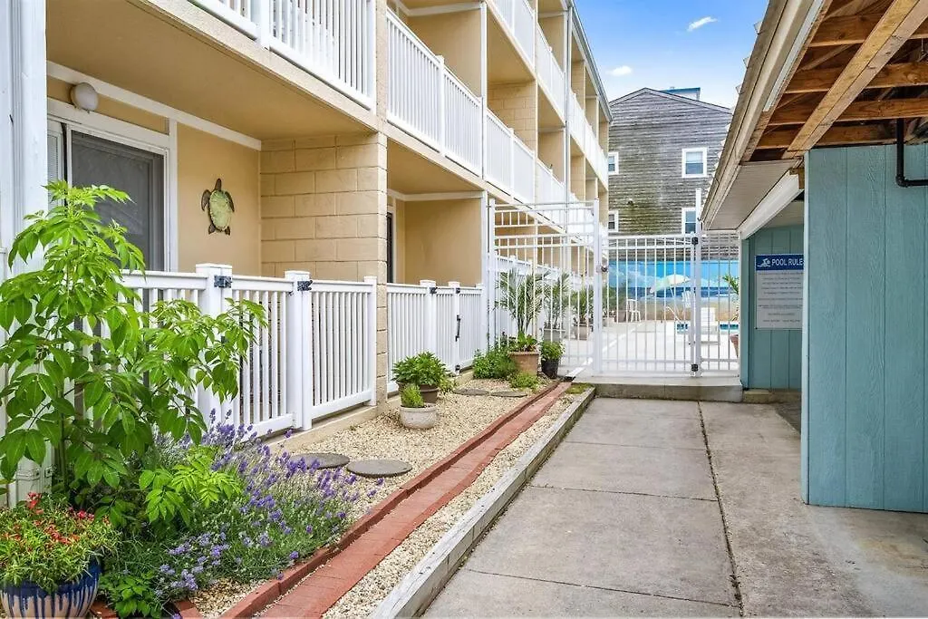 Updated Charming Studio,steps To Beach,outdoor Pool * オーシャン・シティ