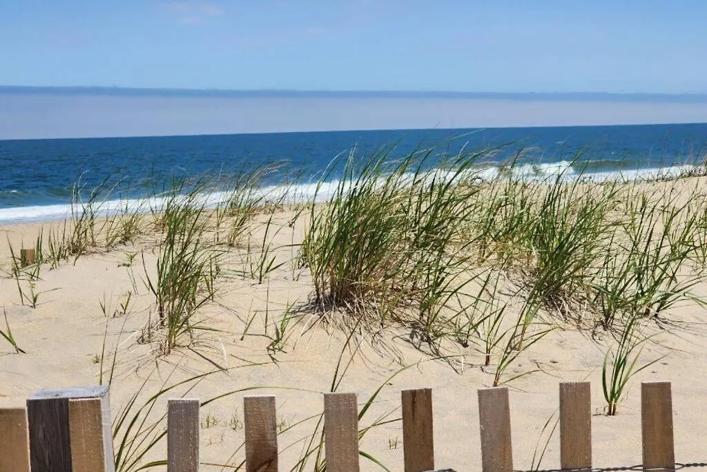 Updated Charming Studio,steps To Beach,outdoor Pool アパート *