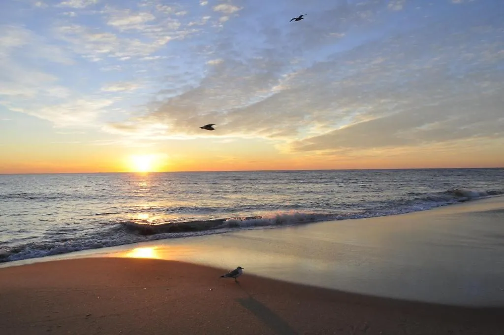 Sealoft Oceanfront Ocean City