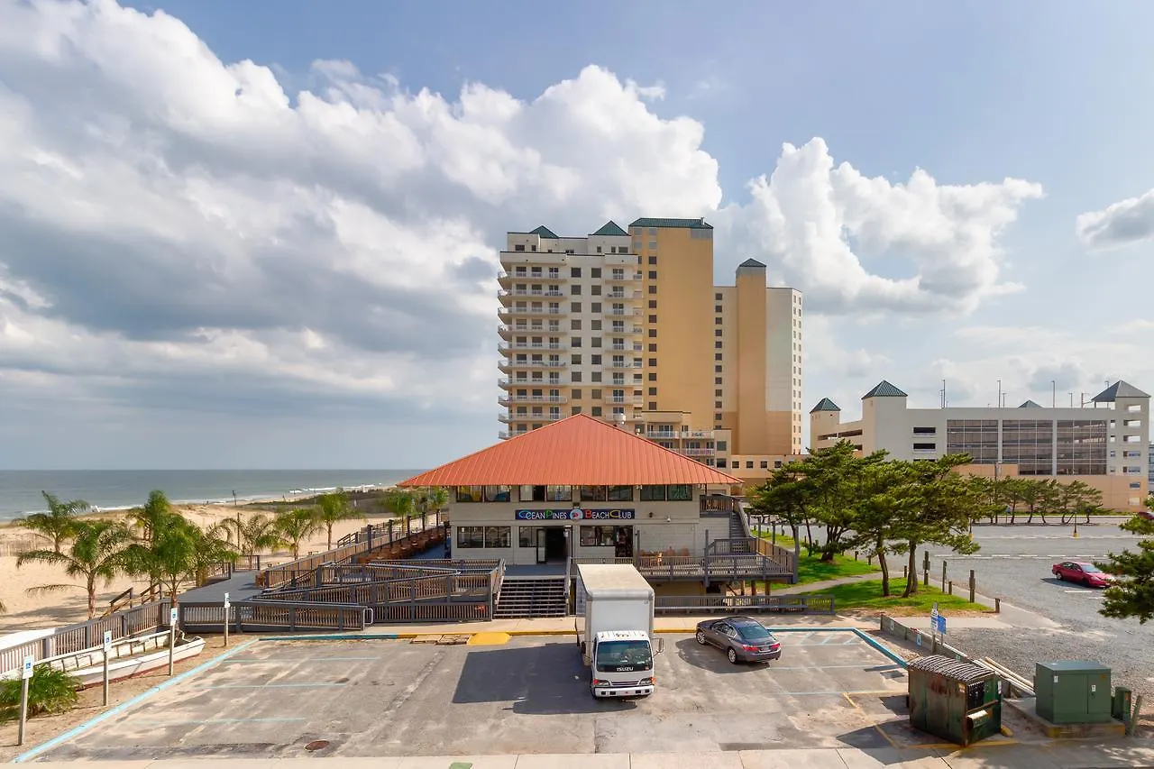 Seas The Day * Ocean City