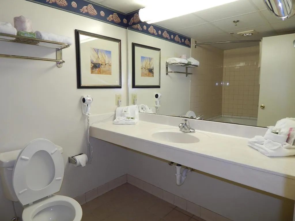 Hotel Paradise Plaza 3*