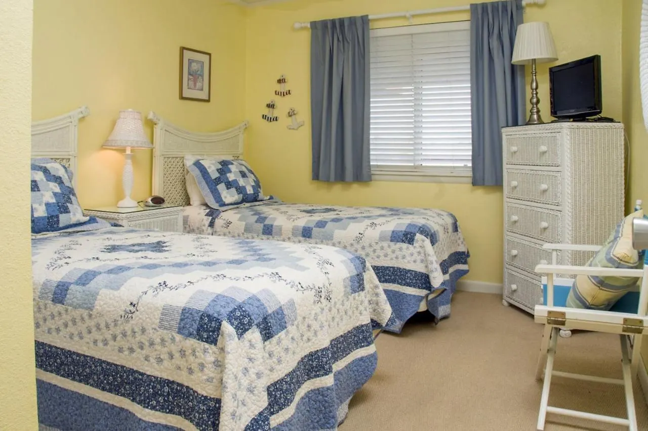 Triton's Trumpet C504 * Ocean City