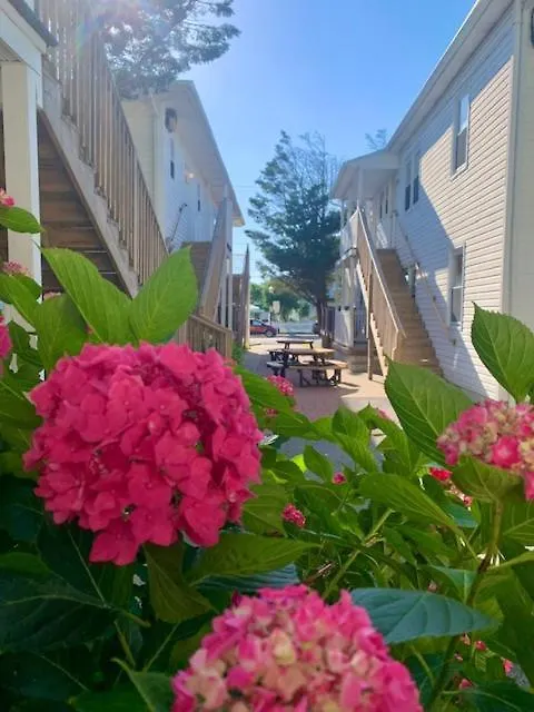 Apartment Beach Plaza Ocean City