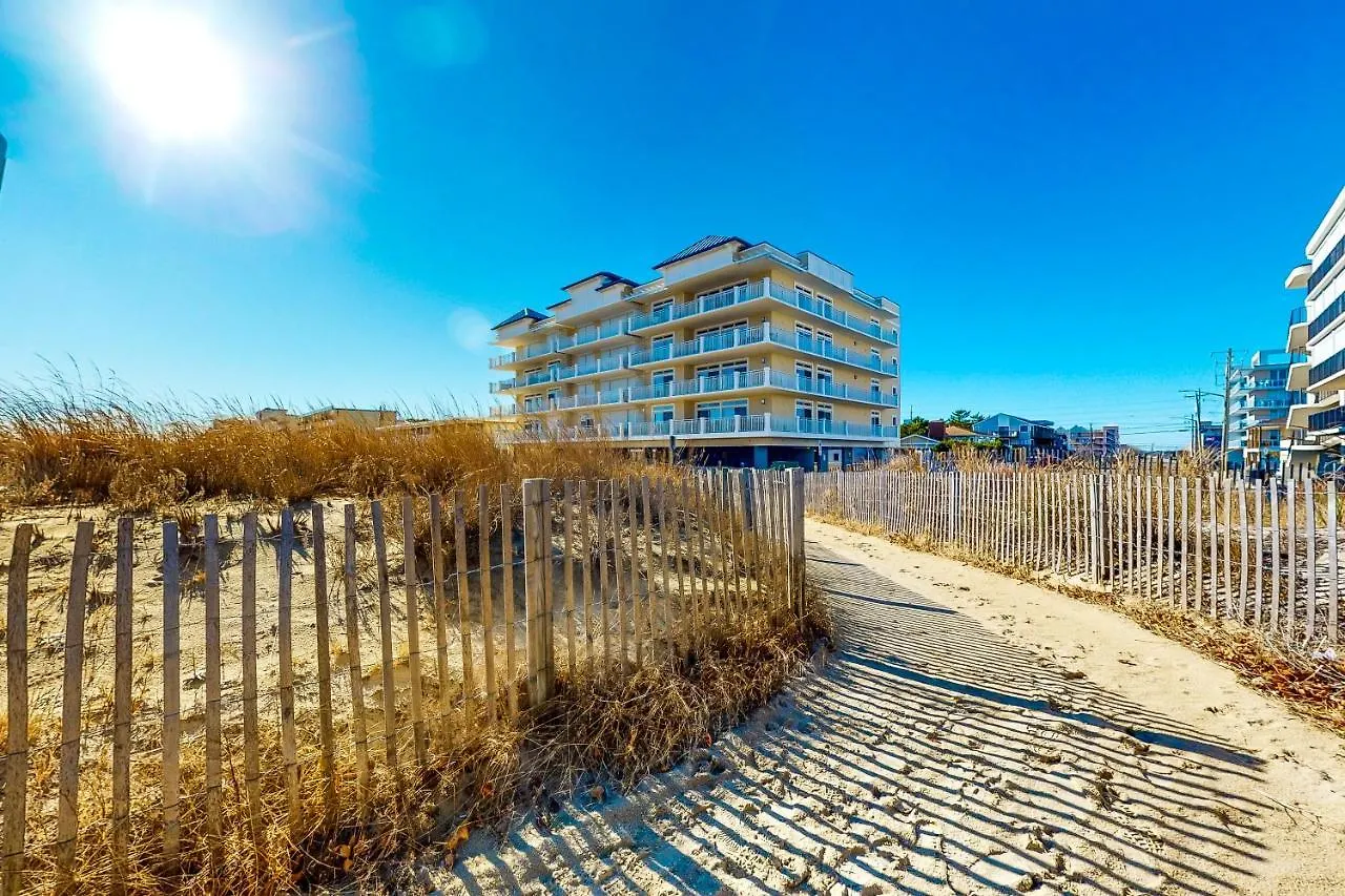 Apartment Sharkfin 401