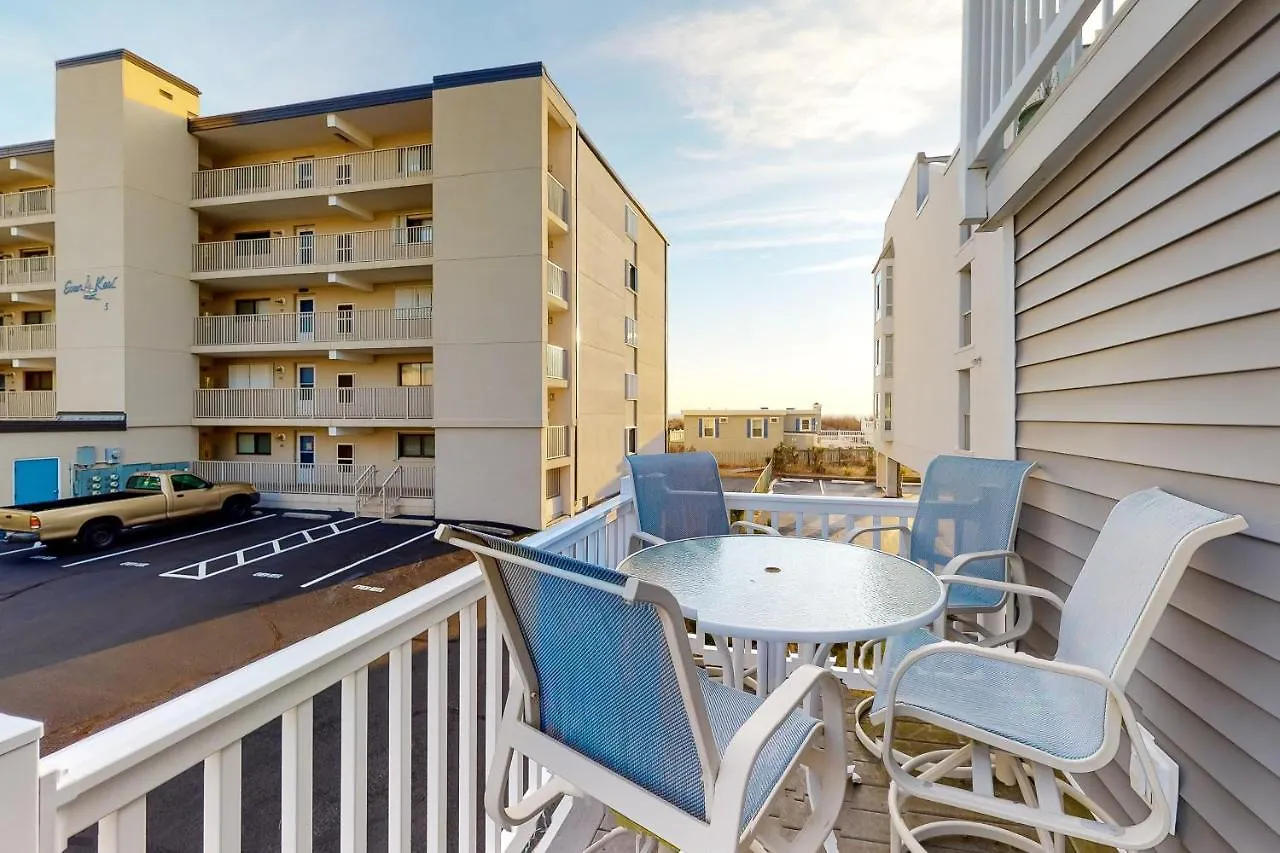Cinnamon Teal 10 Ocean Stadt