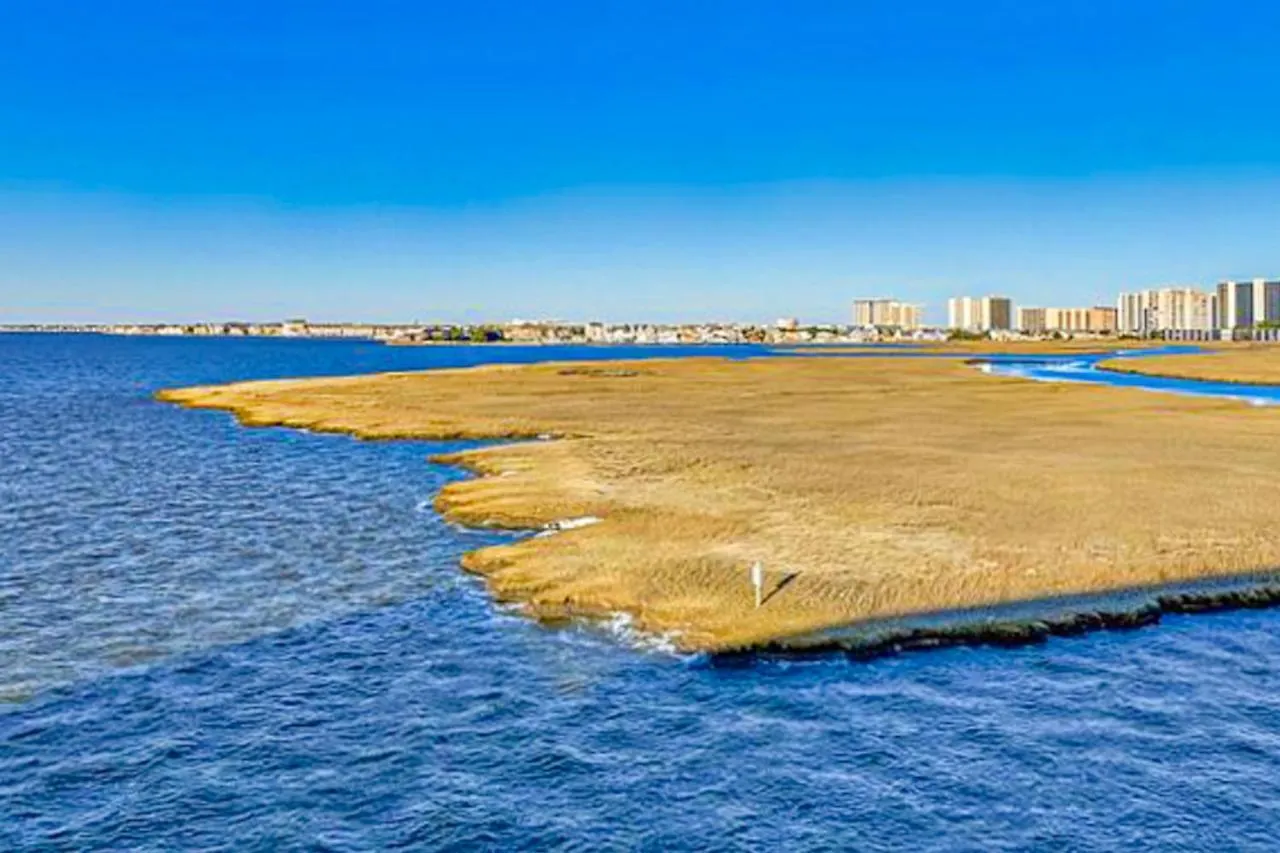 Pintail Point Ocean City