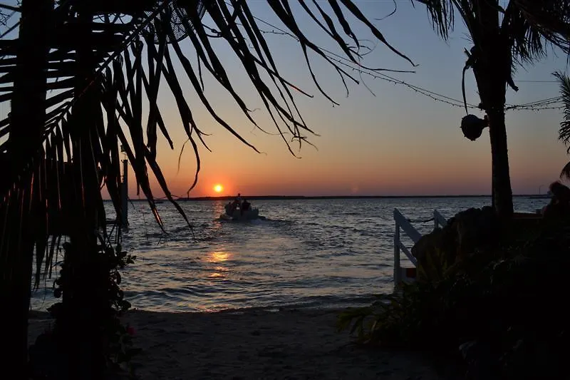 Seacrets 2*