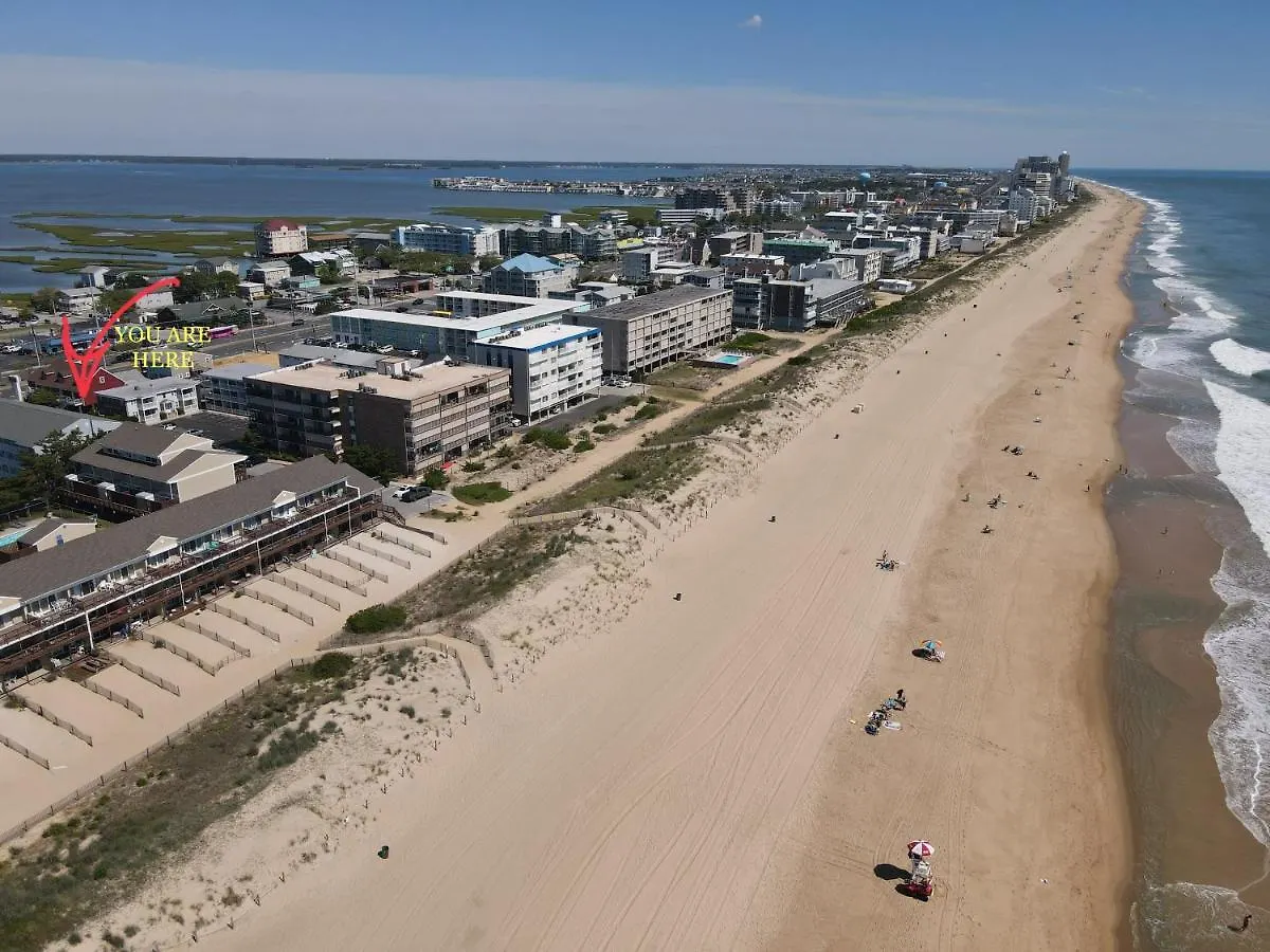 Apartment Sunny Getaway A1 Ocean Block Walk To Ocean City