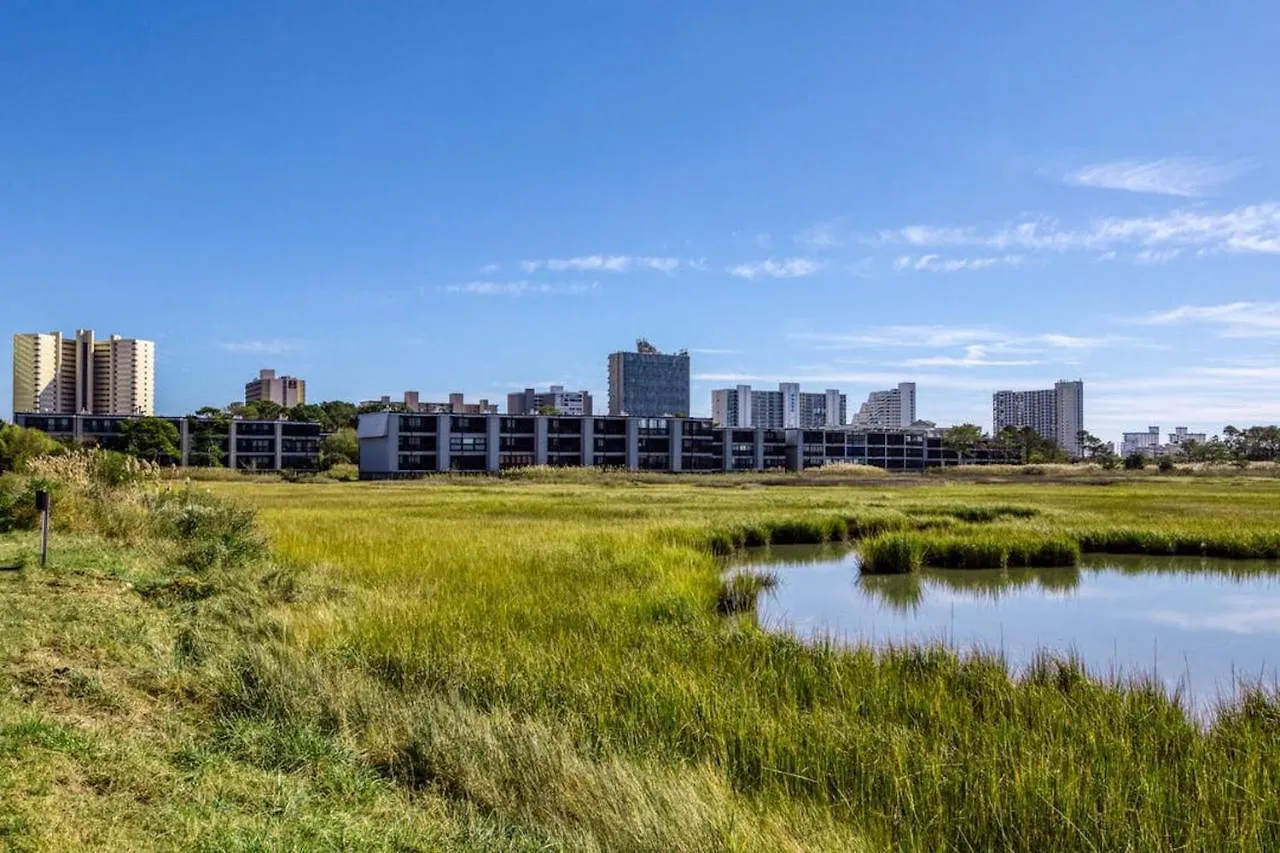 Our Place At The 304b Daire Ocean City