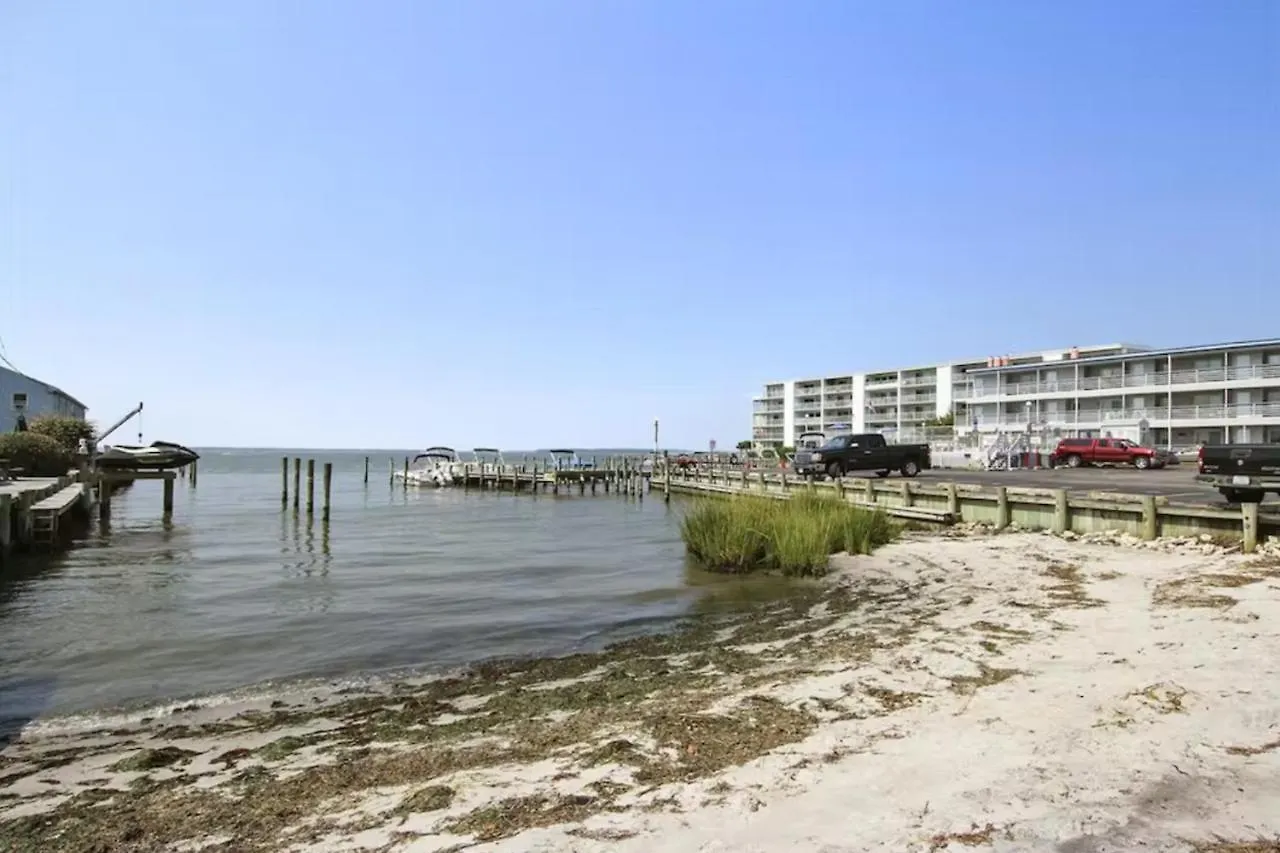 Bradley On The Bay 336h Apartment *