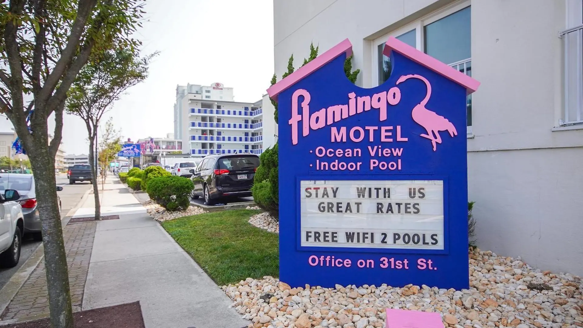 Flamingo Ocean City