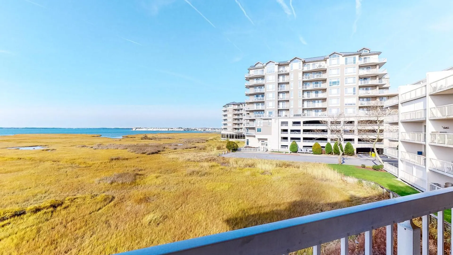Triton's Trumpet C504 * Ocean City