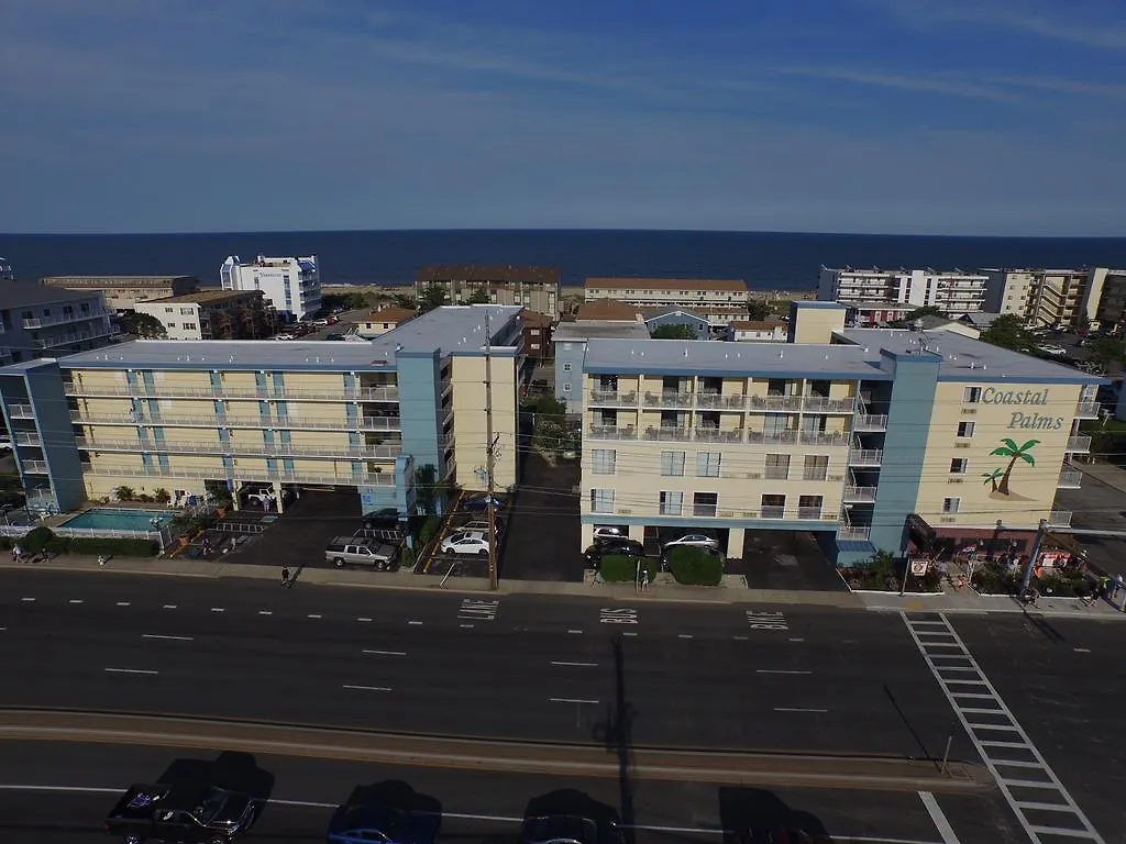 Coastal Palms And 2*