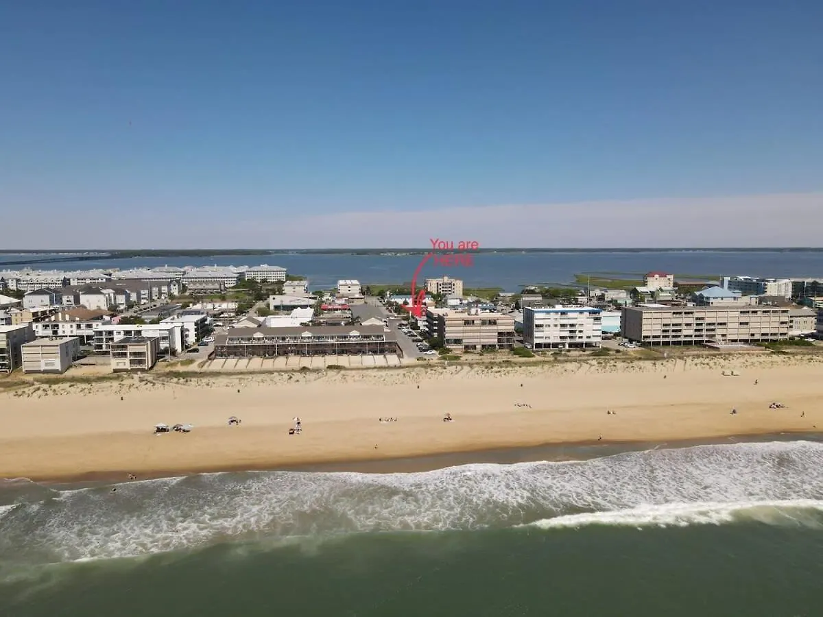 Modern 4br Ocean Block Walk To The
