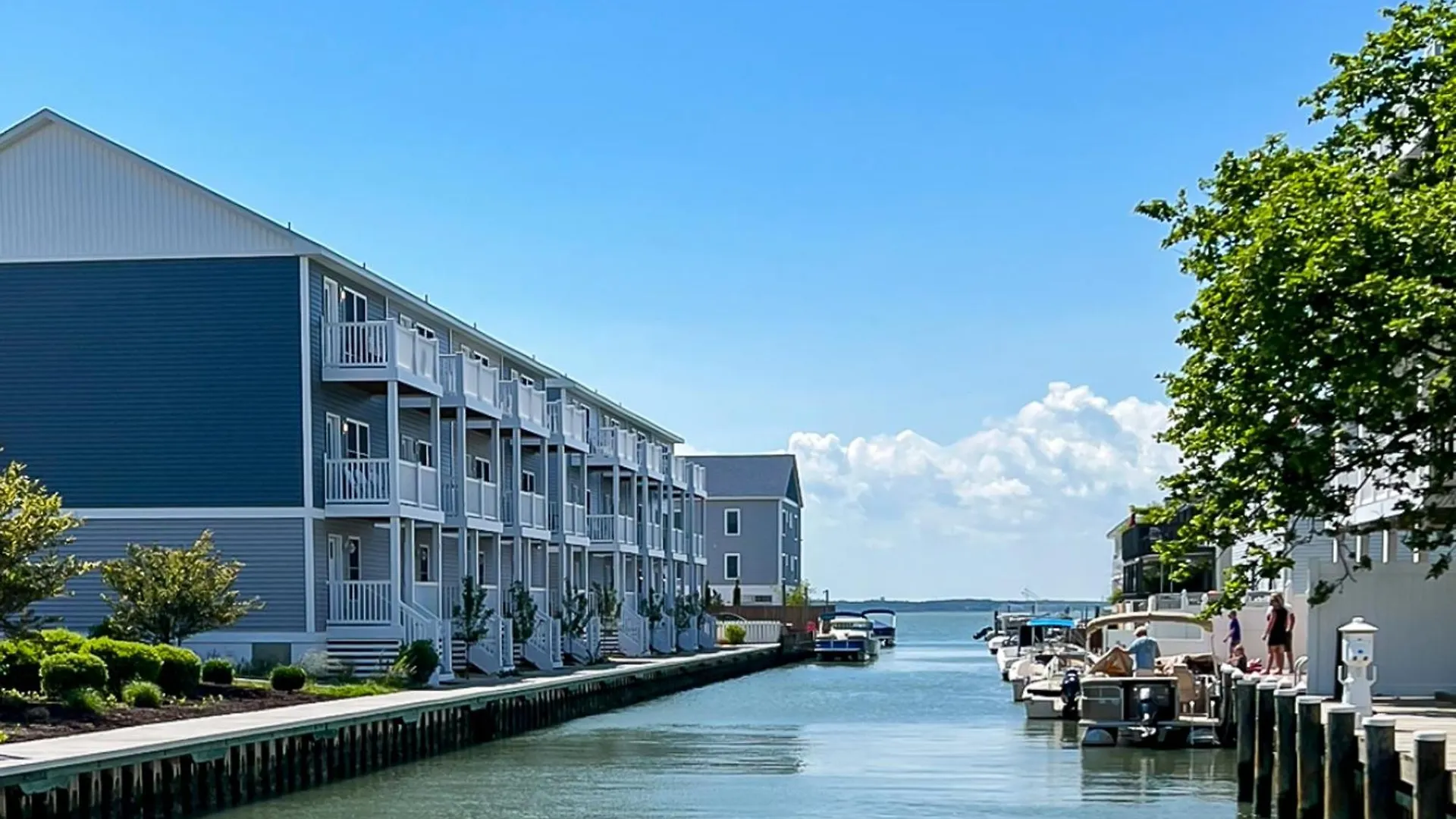 Island Cove C Ocean City