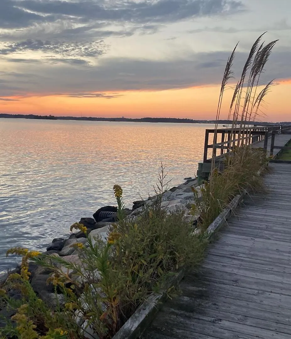 Lola Bs Bayside * Ocean City