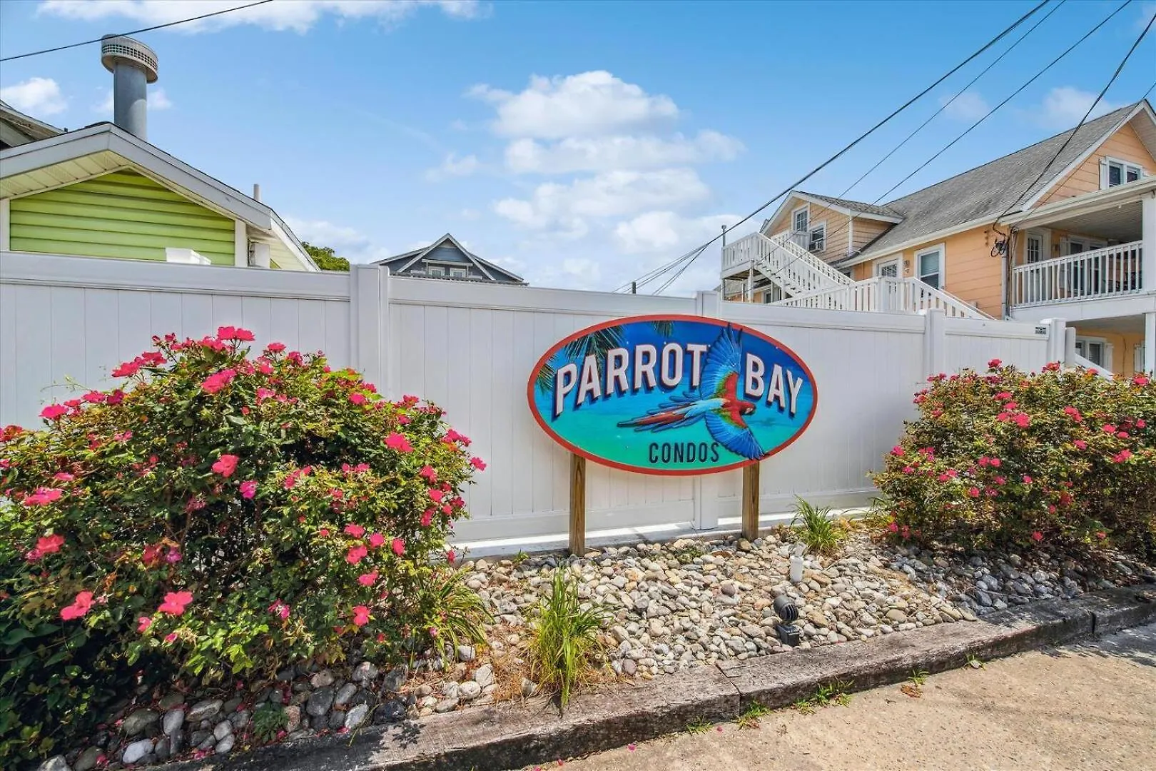 Parrot Bay 17 *