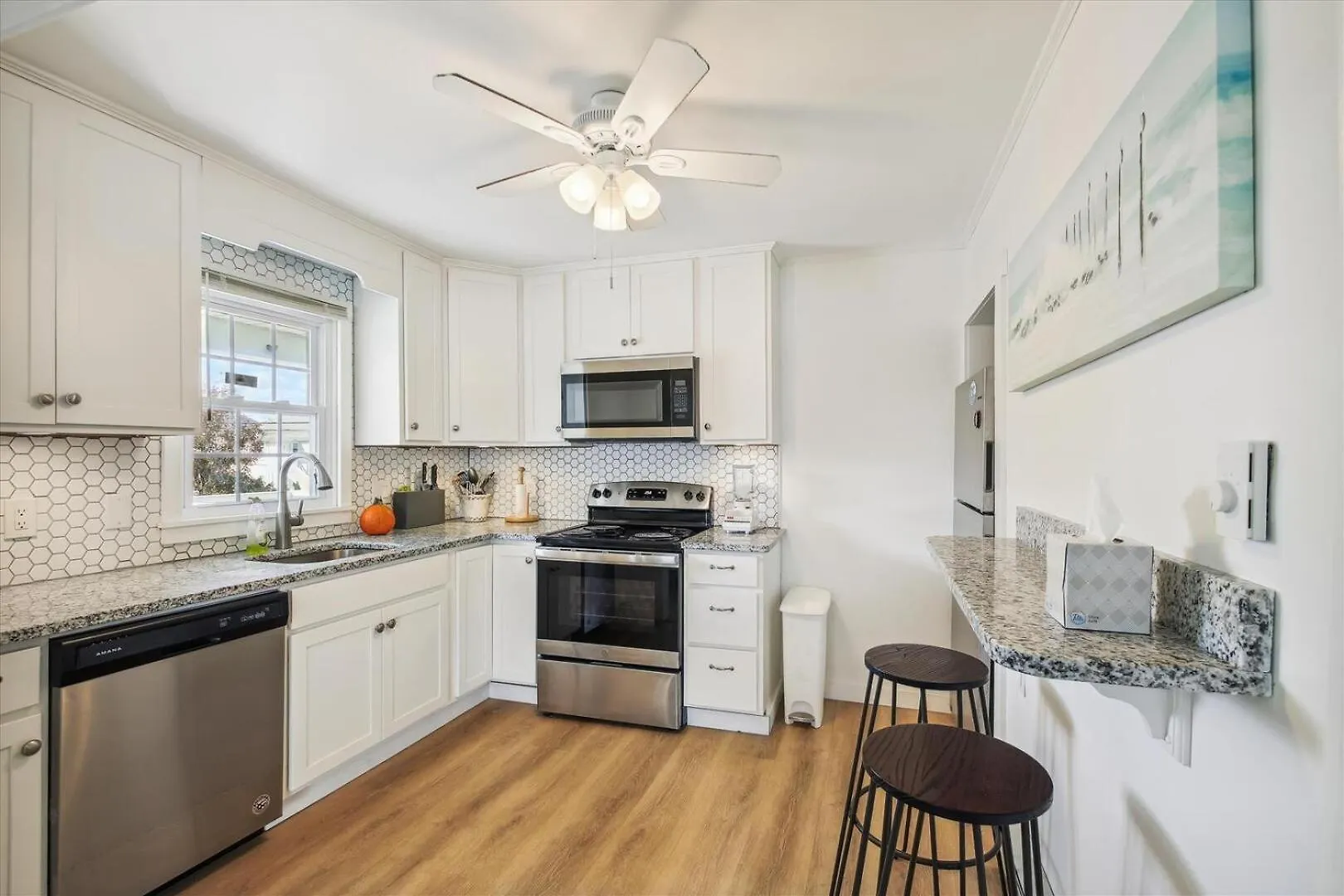 Mallard 3d Apartment Ocean City