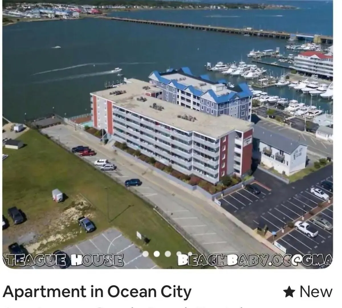 Apartment Assateague House #203 Oc