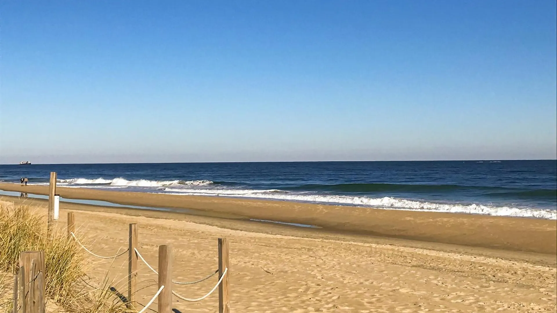 Pyramid 15g * Ocean City