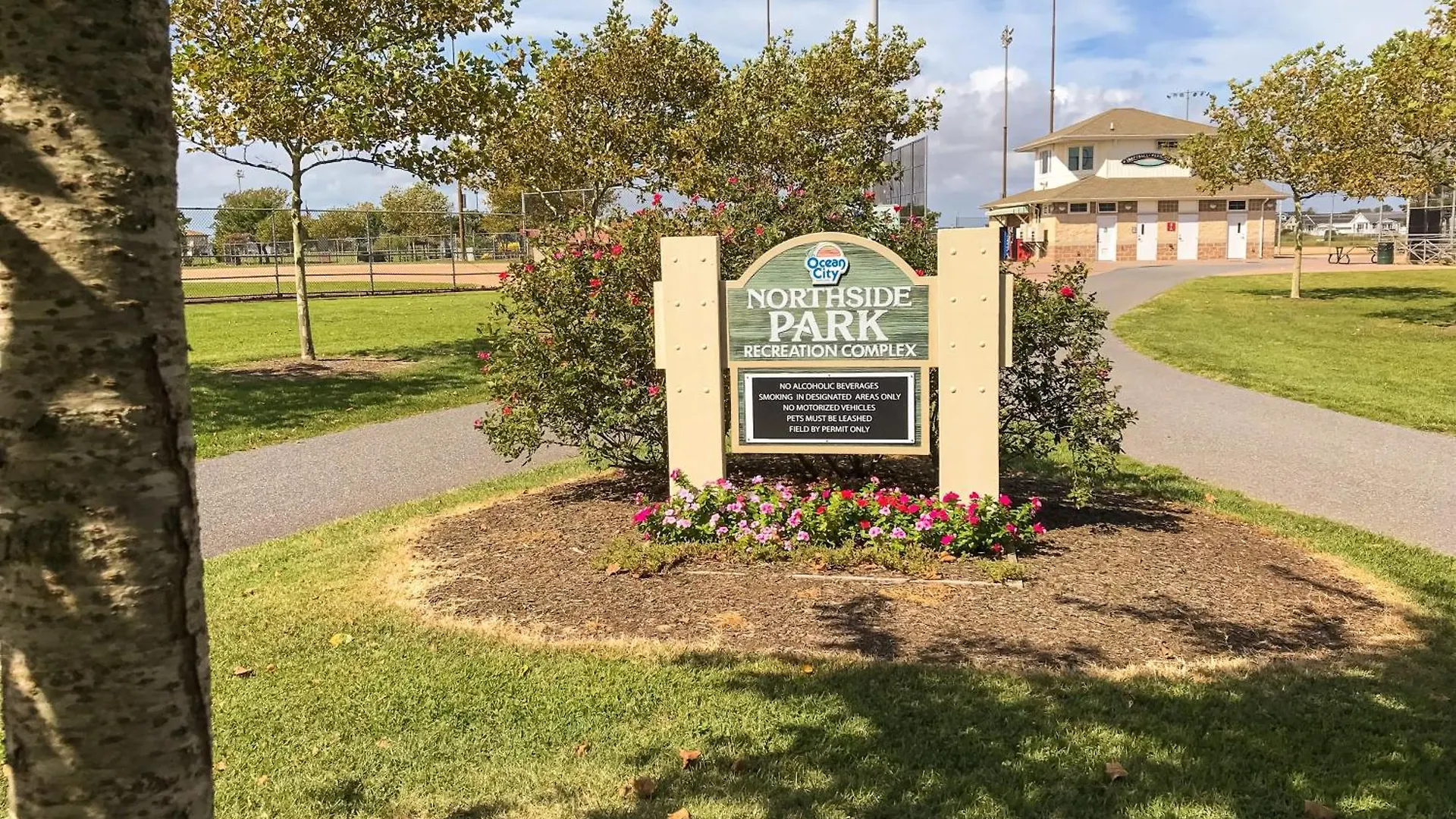 Apartment Pyramid 15g Ocean City