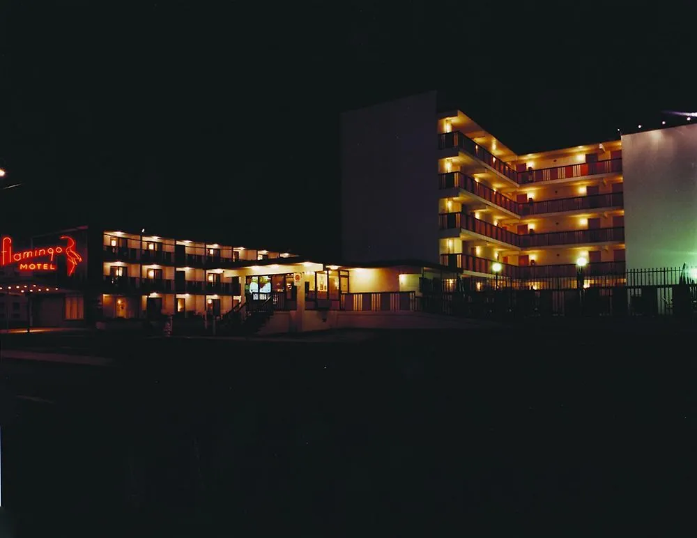 Motel Flamingo Ocean City