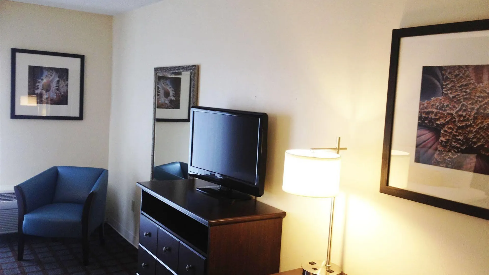 Monte Carlo Ocean 3* Ocean City
