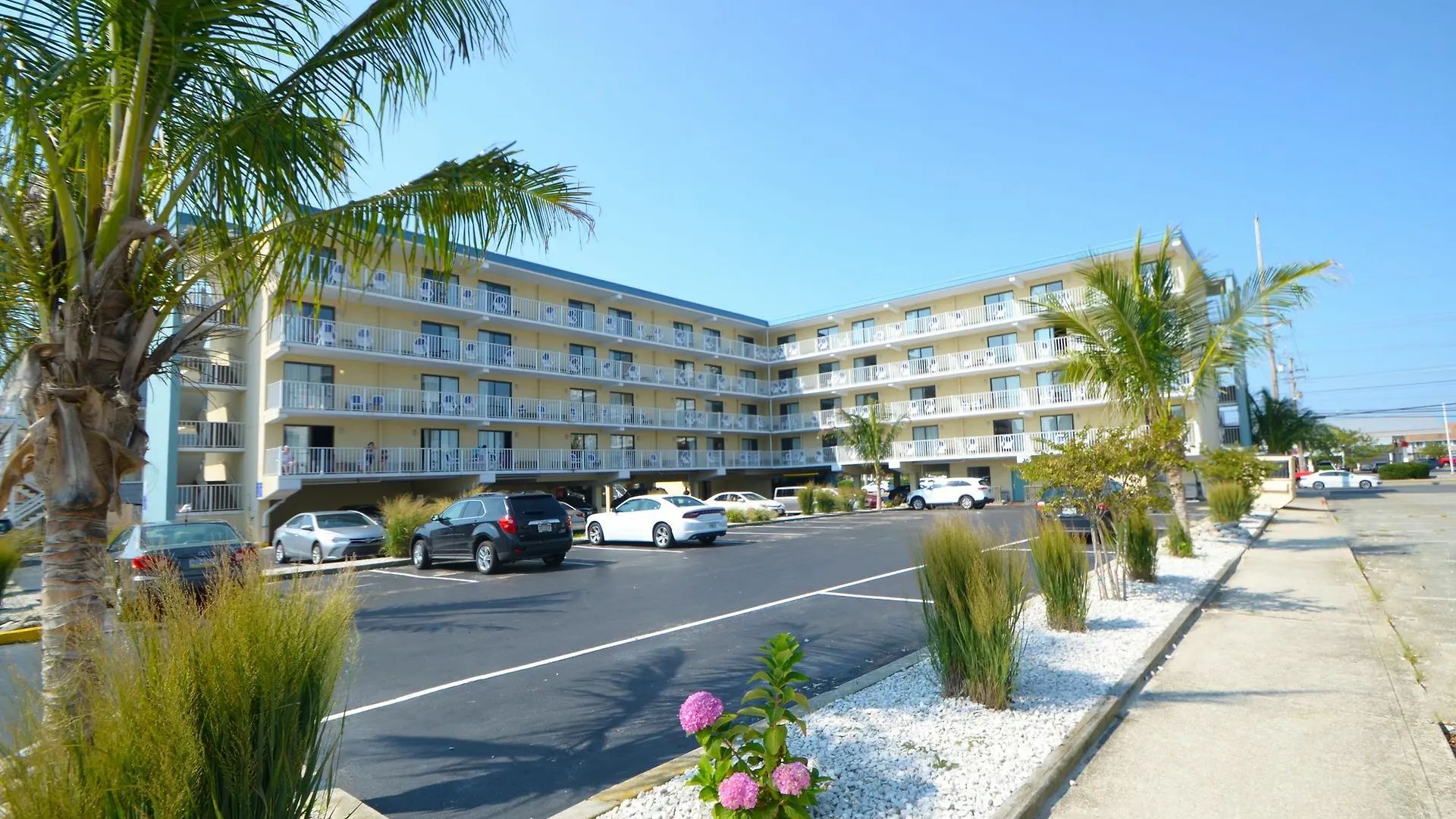 Coastal Palms And 2* Ocean City