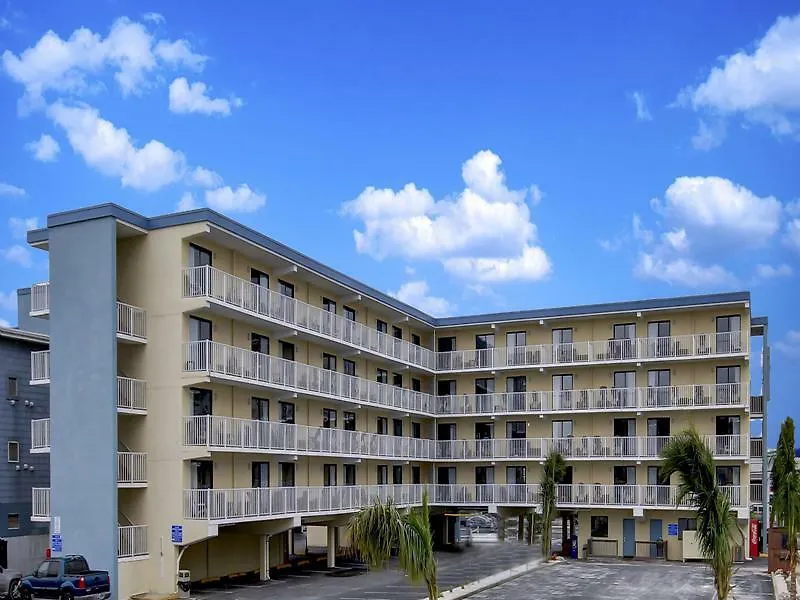 Coastal Palms And