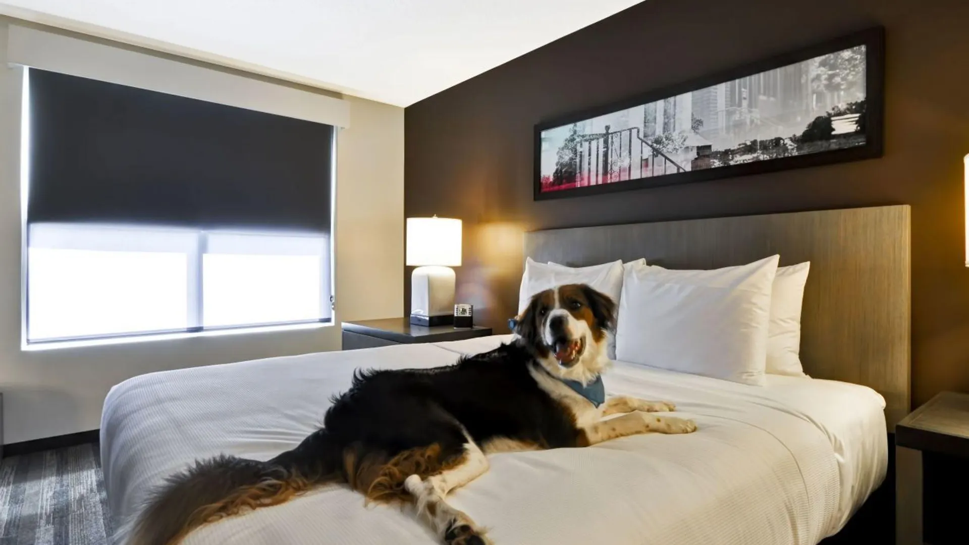 Hyatt Place Ocean Oceanfront 3*