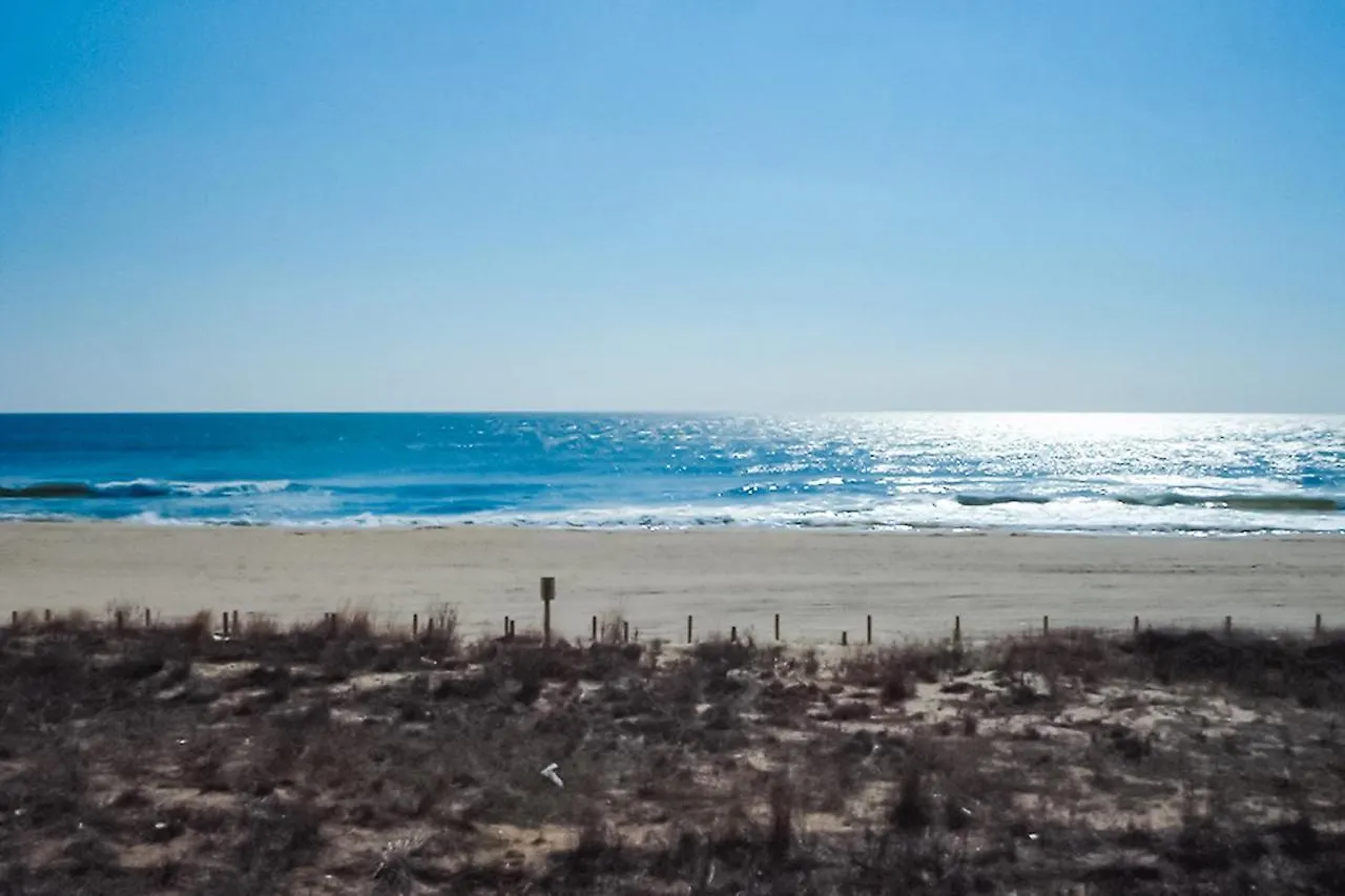 Sandpiper Dunes 204 公寓