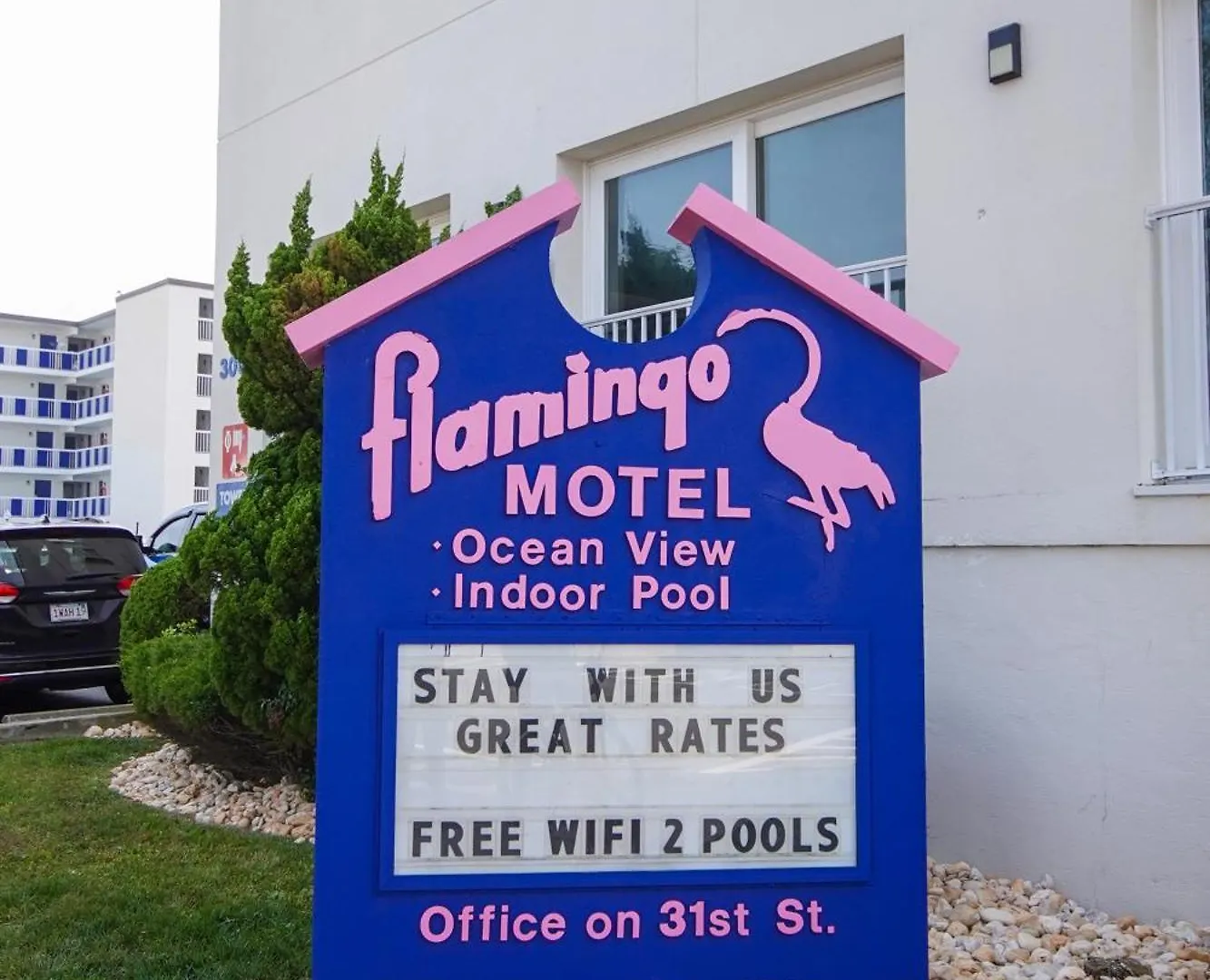 Flamingo 2*