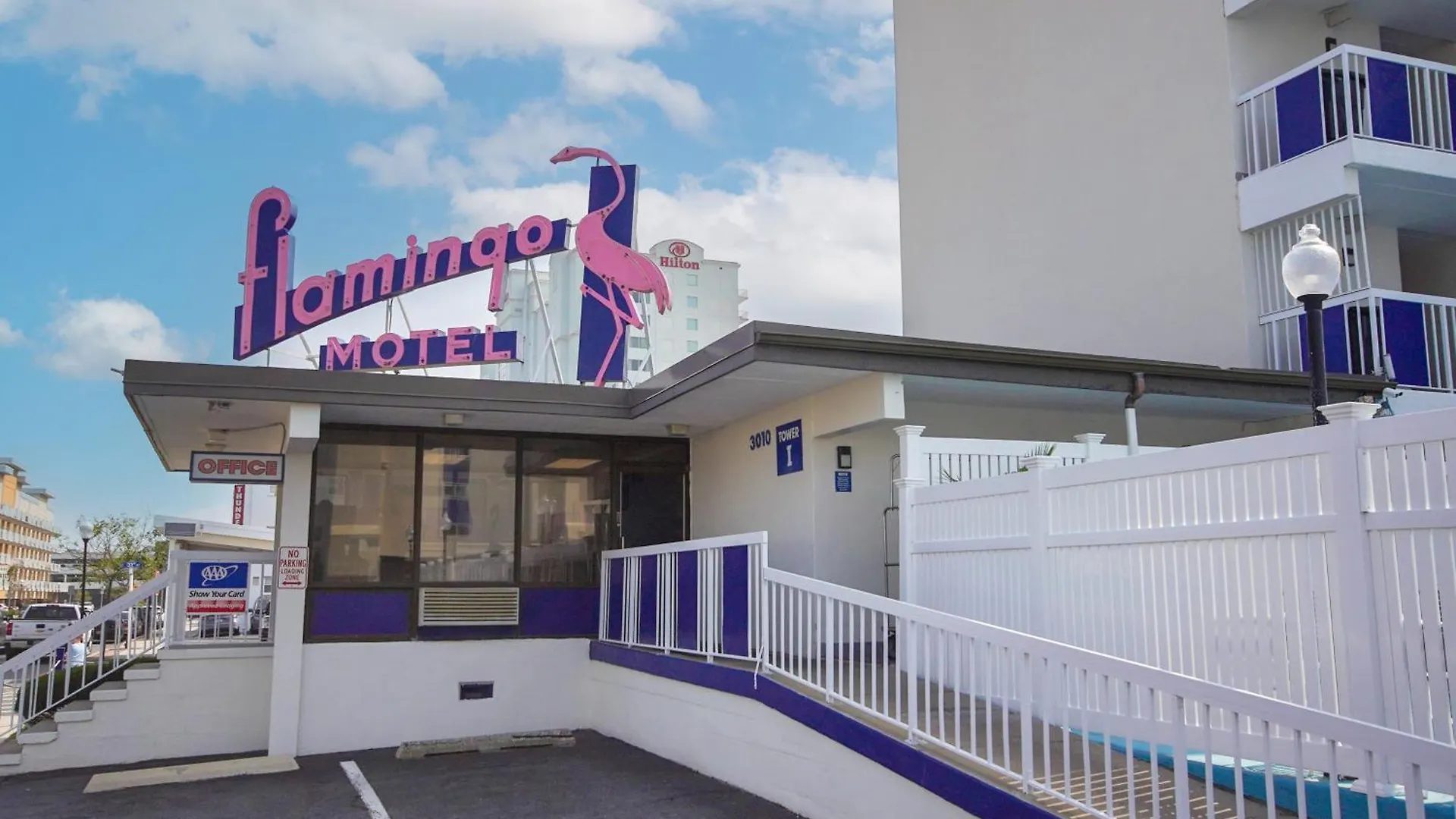 Flamingo Ocean City