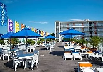The Spinnaker