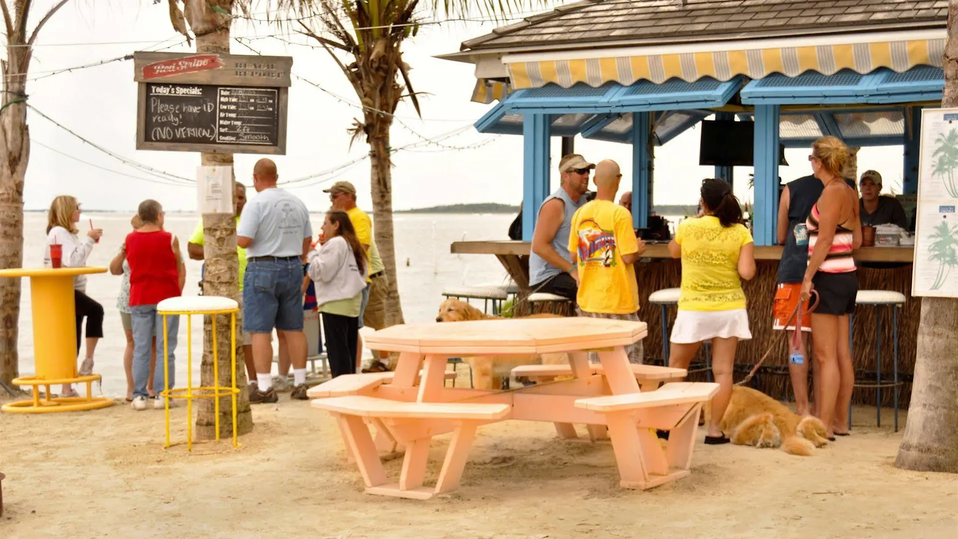 Castaways Rv & Campground Ocean Stadt