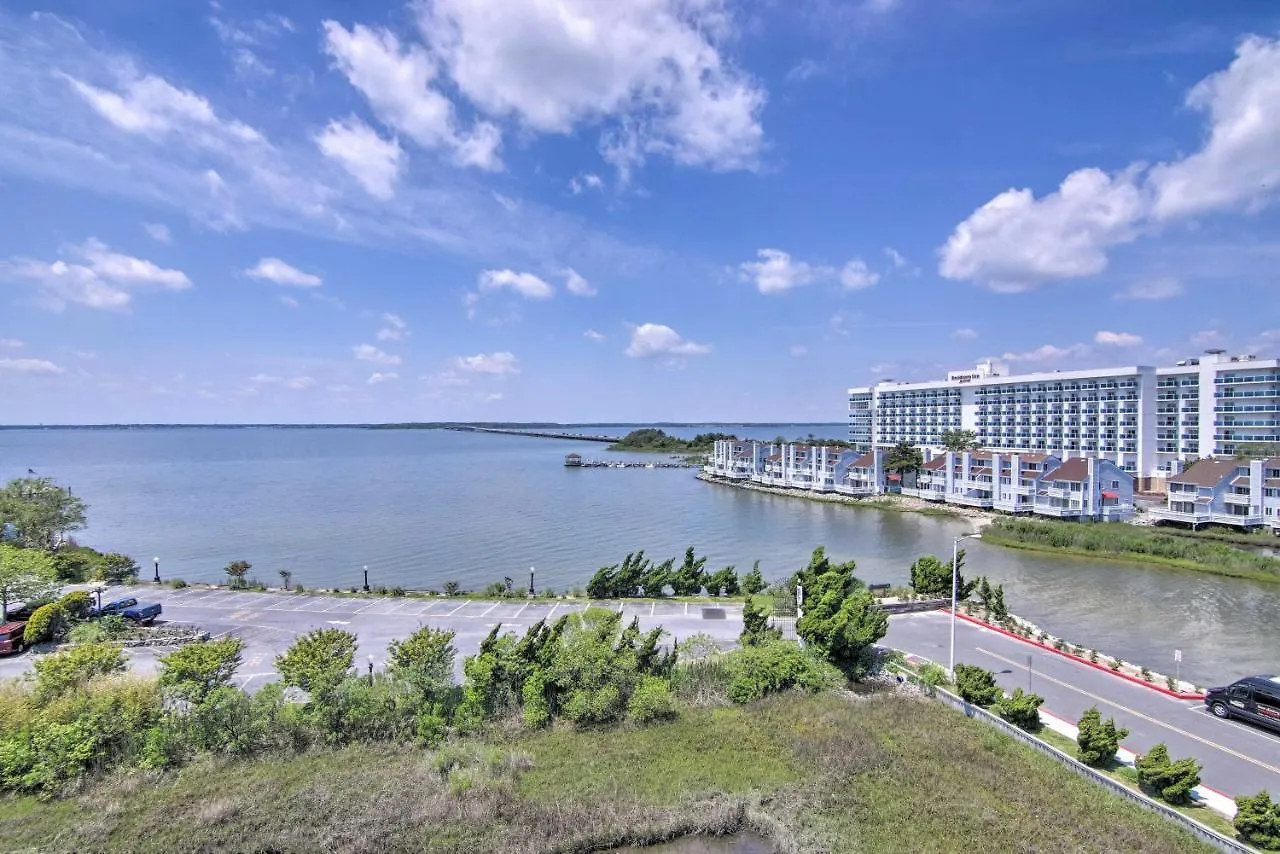 Ocean With Bay View And Walkable Location! Lägenhet